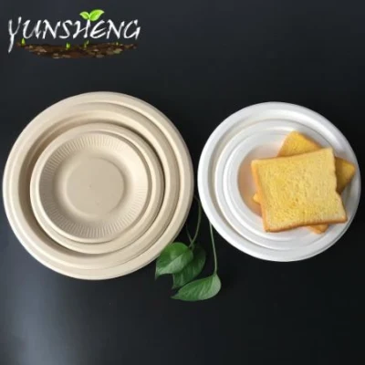 Customized Disposable Biodegradable Paper Round Plates for Delicious Food or Fruit on Party Made by Compostable Materials